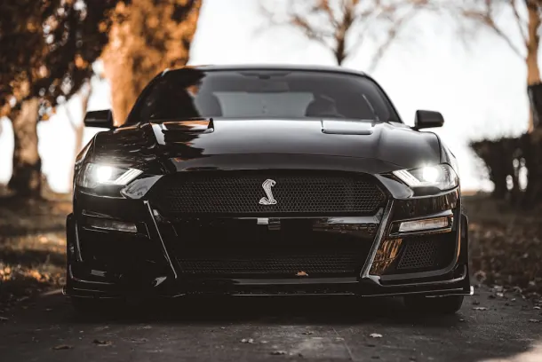 Luckland Casino Android/iOS aplikacija